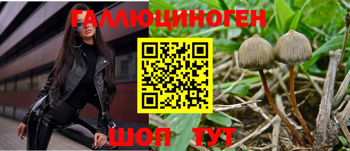 Галлюциногенные грибы Cubensis  Галлюциногенные грибы ЛСД  Мариинск  Вход с VPN 