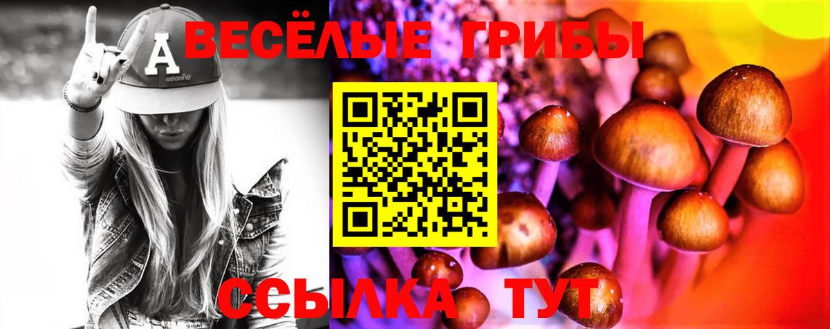 Галлюциногенные грибы мицелий Мариинск
